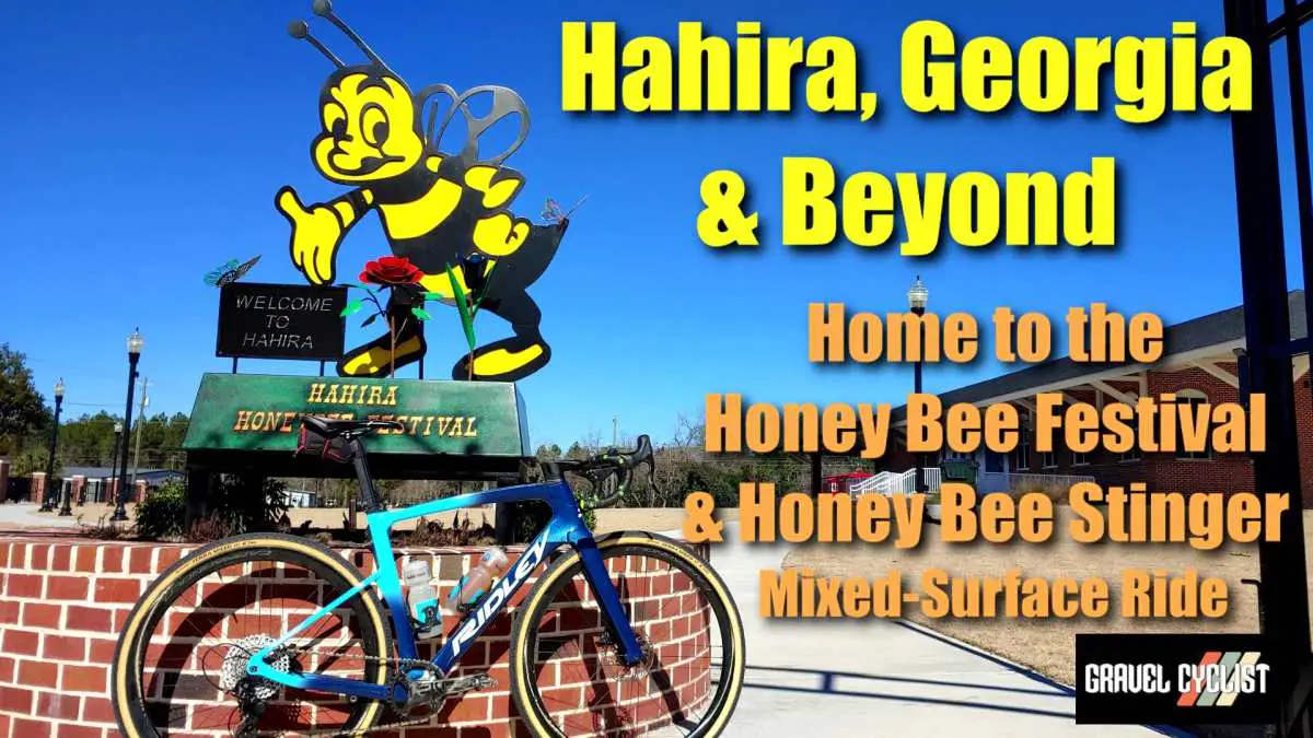 Hahira, Georgia & Beyond: Home to the Honey Bee Festival & Honey Bee